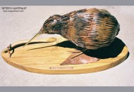 71_blokes_copper_kiwi_sculpture